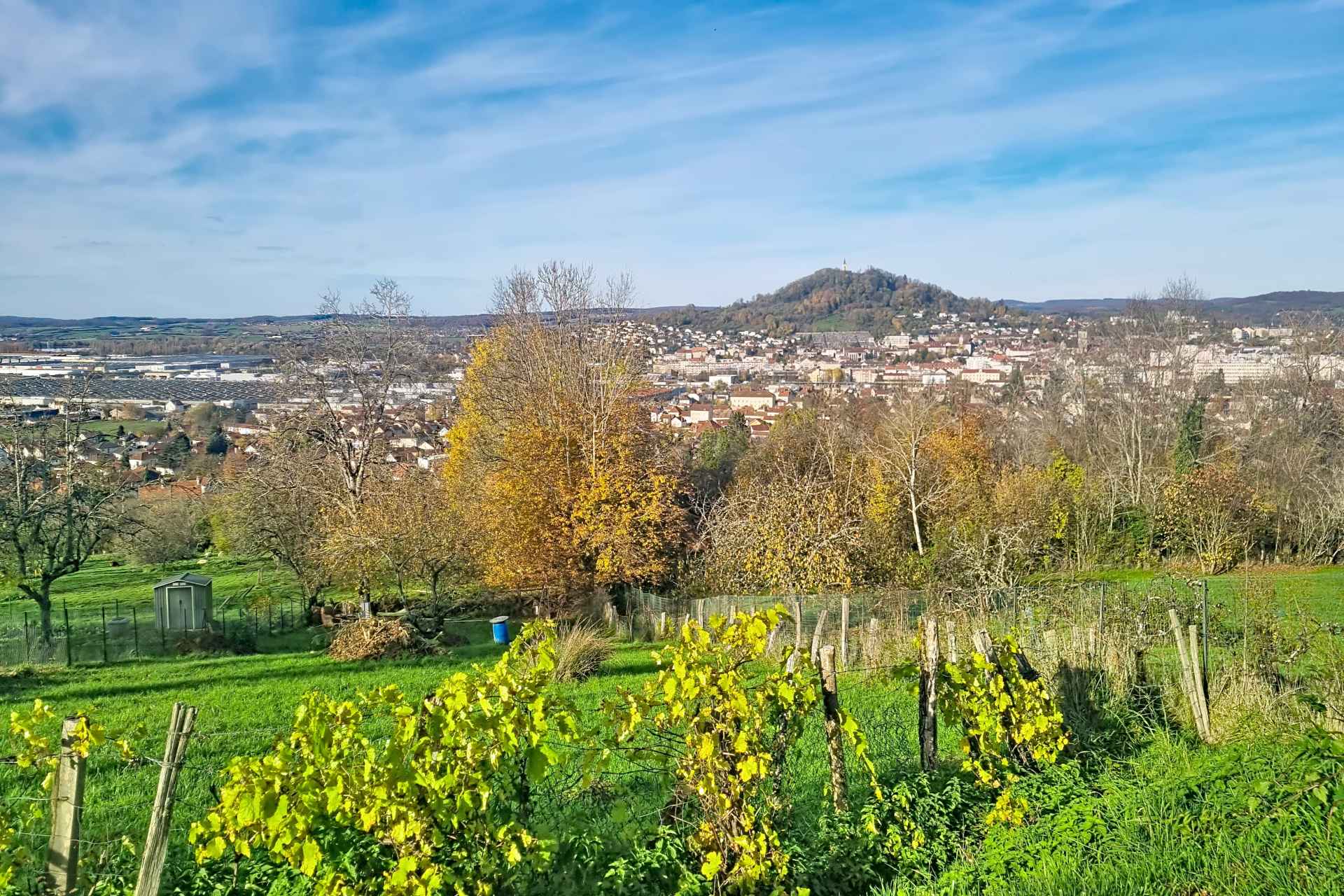 Vue de Vesoul et de la motte.