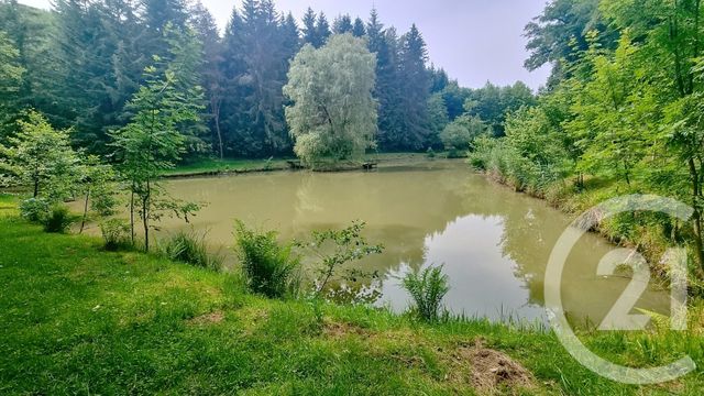 maison à vendre - 7 pièces - 253.0 m2 - 70 - FRANCHE-COMTE - Century 21 Est Agence