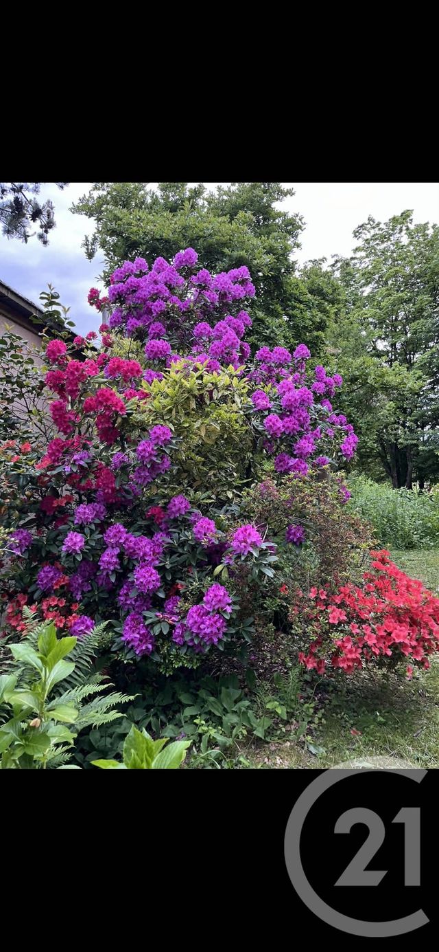 maison à vendre - 7 pièces - 163.7 m2 - PORT SUR SAONE - 70 - FRANCHE-COMTE - Century 21 Est Agence