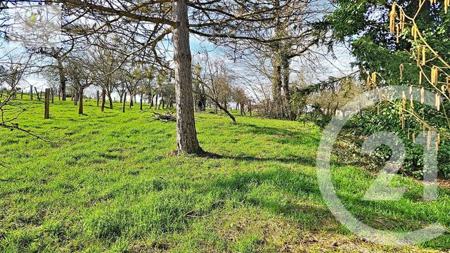 maison à vendre - 4 pièces - 100.79 m2 - CINTREY - 70 - FRANCHE-COMTE - Century 21 Est Agence