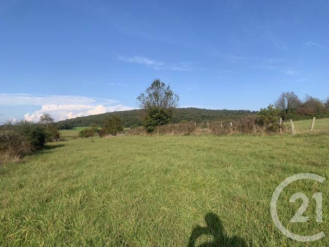 terrain à vendre - 2561.0 m2 - ANDELARROT - 70 - FRANCHE-COMTE - Century 21 Est Agence