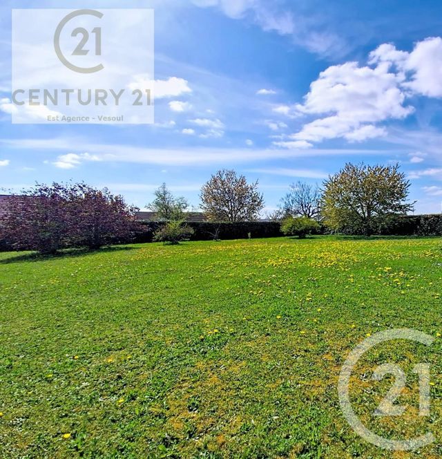 terrain - PUSEY - 70