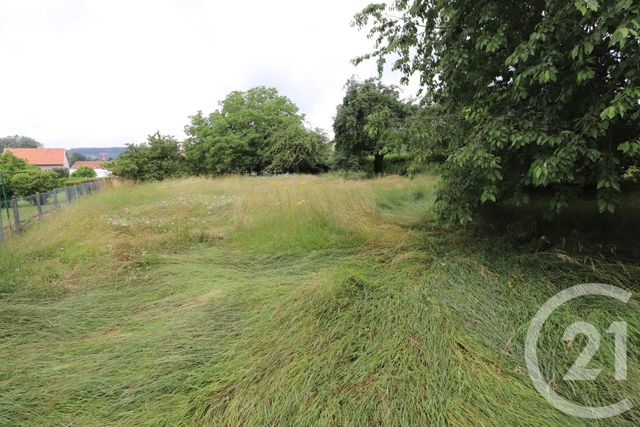 Afficher la photo en grand terrain à vendre - 2311.0 m2 - PORT SUR SAONE - 70 - FRANCHE-COMTE - Century 21 Est Agence