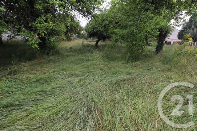 Afficher la photo en grand terrain à vendre - 2311.0 m2 - PORT SUR SAONE - 70 - FRANCHE-COMTE - Century 21 Est Agence