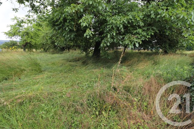 Afficher la photo en grand terrain à vendre - 2311.0 m2 - PORT SUR SAONE - 70 - FRANCHE-COMTE - Century 21 Est Agence
