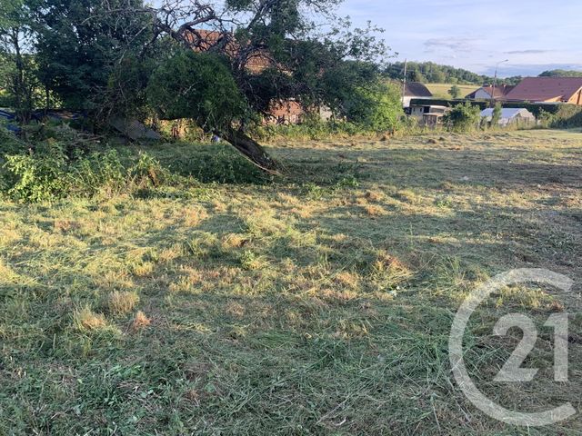 terrain à vendre - 1078.0 m2 - NOIDANS LE FERROUX - 70 - FRANCHE-COMTE - Century 21 Est Agence